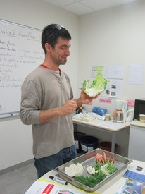 Atelier "cuisine avec les Ã©pluchures"