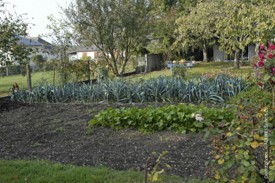 Jardin potager