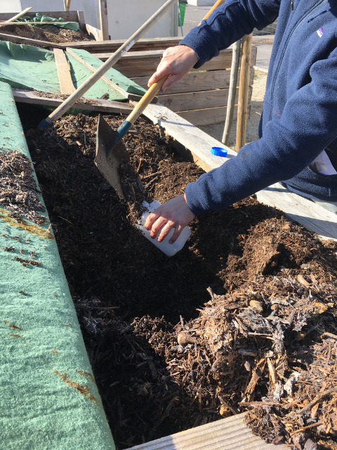 RÃ©cupÃ©ration du compost pour analyse